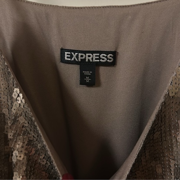 Express Shimmering Sequin Party Dress - Picture 5 of 5